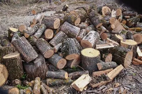 Firewood - Cord
